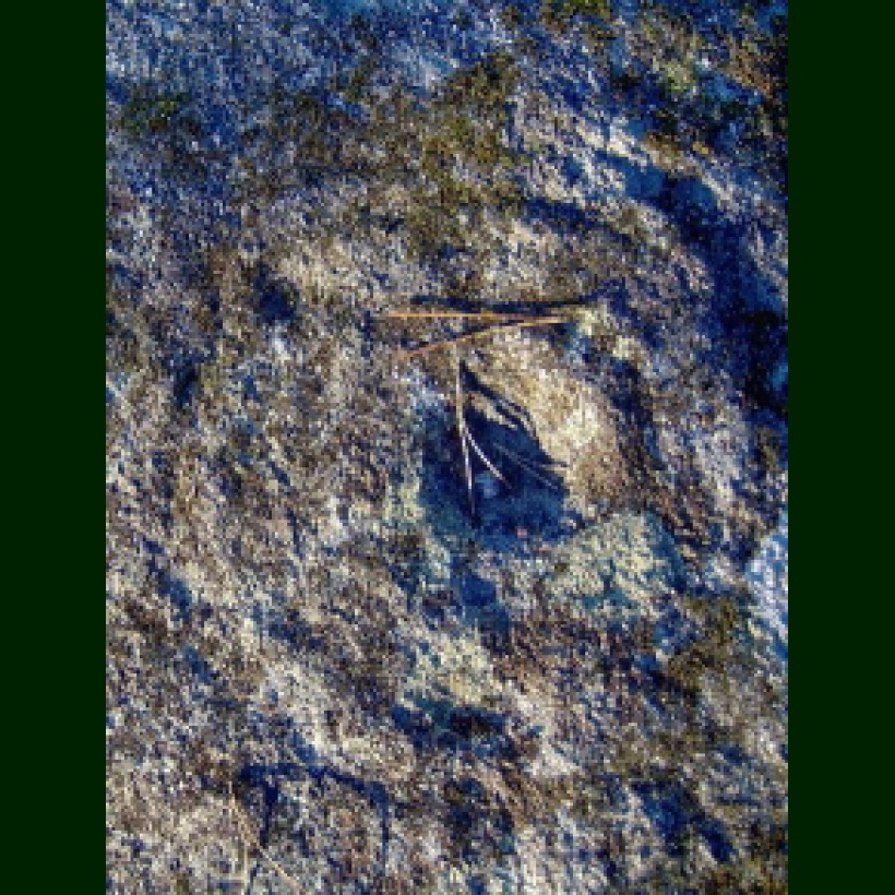 Petroglifo principal da Ermida